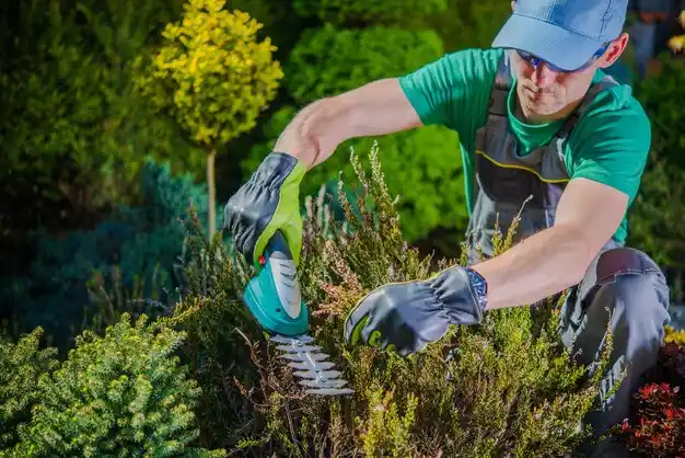 landscaping services Blissfield